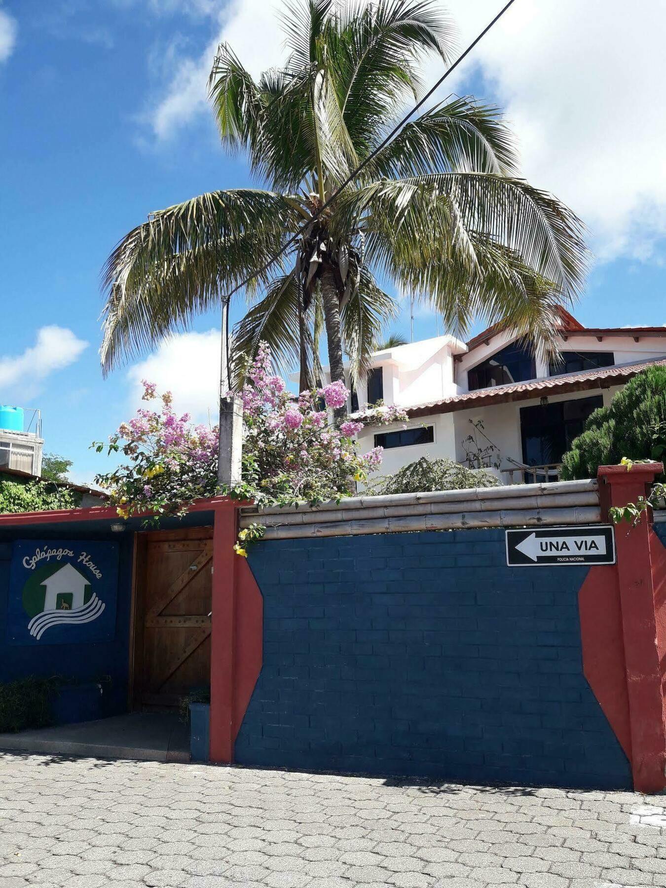 Galapagos House Hostel Puerto Ayora  Exterior photo